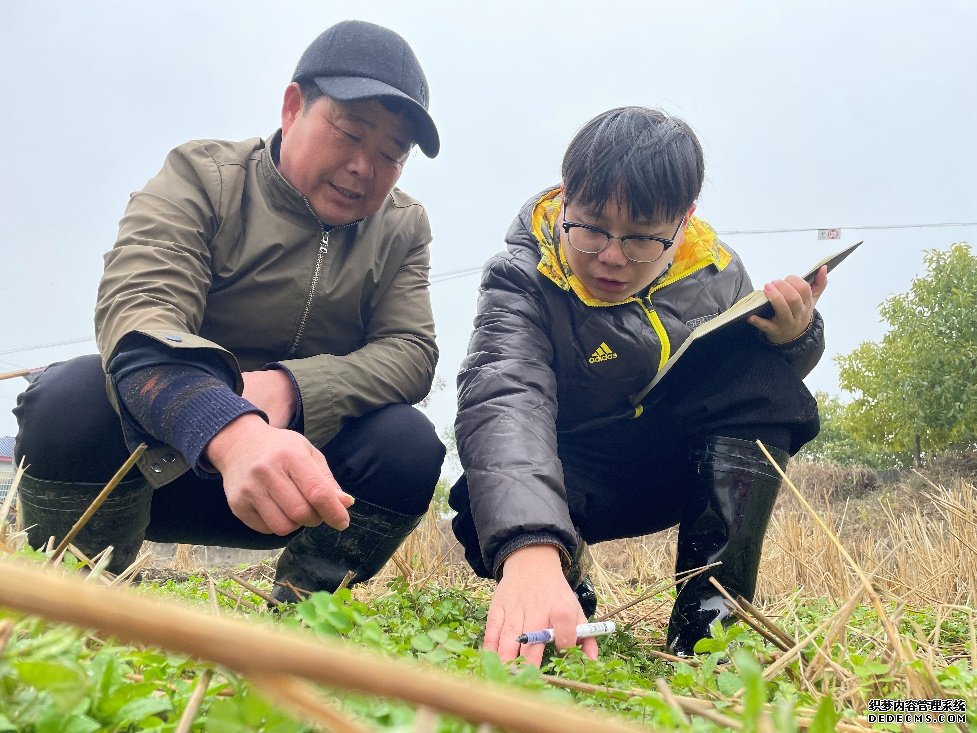 奋进的春天|保供稳价接续发力释放经济回稳向好积极信号