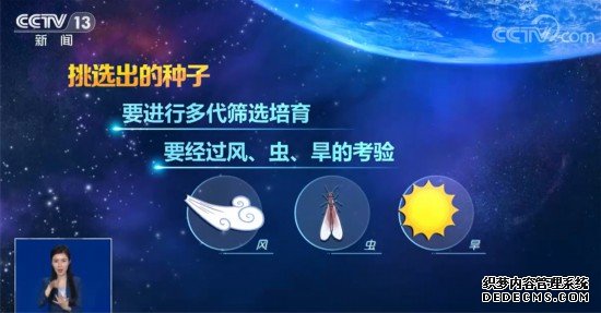 中国载人航天工程公开征集航天育种“太空种子”有何神奇之处？