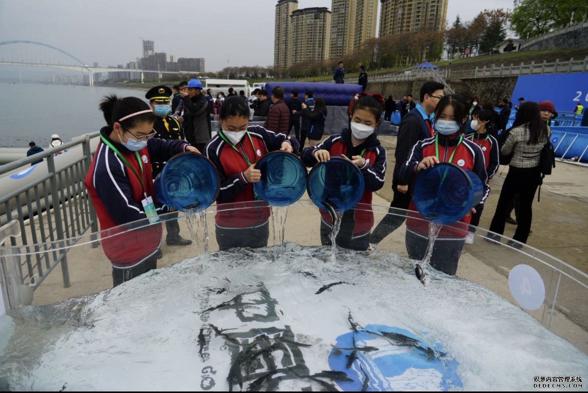 助力生物多样性保护20万尾中华鲟分批次放归长江