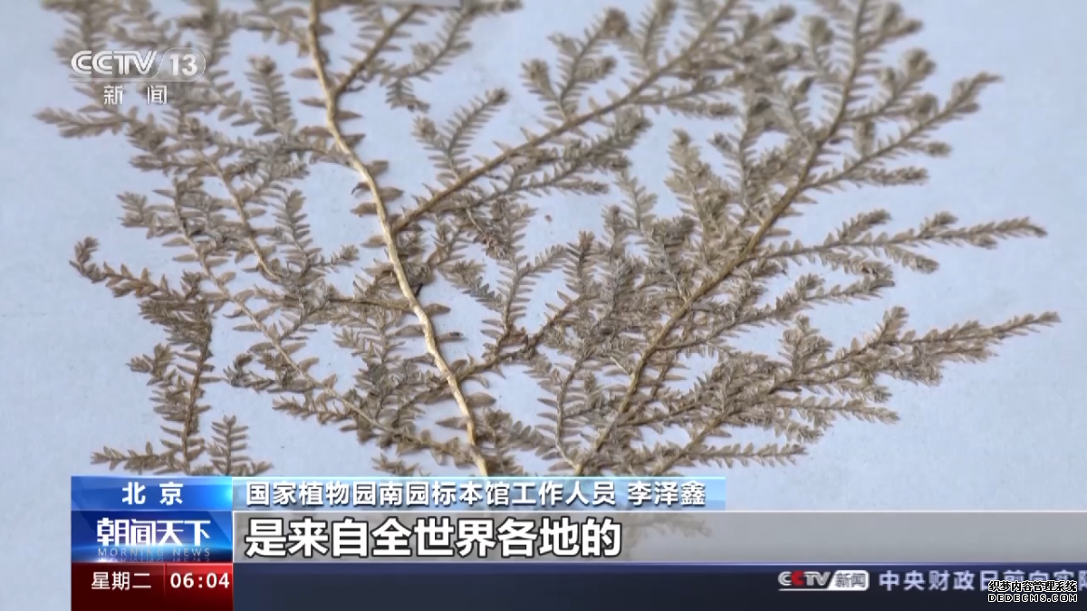 我国首个国家植物园设立一周年 植物保护收集取得新进展