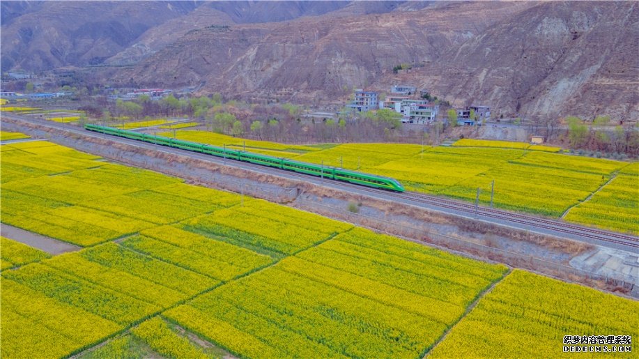 兰渝铁路沿线油菜花竞相开放，复兴号穿过花海驶向春天深处。徐凌波摄