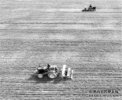 安徽：专家到田间，把“麦”促丰产