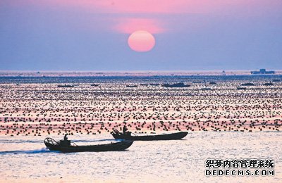 耕海牧渔把大海变成“蓝色粮仓”