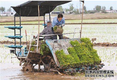 唤醒“沉睡”的耕地后备资源