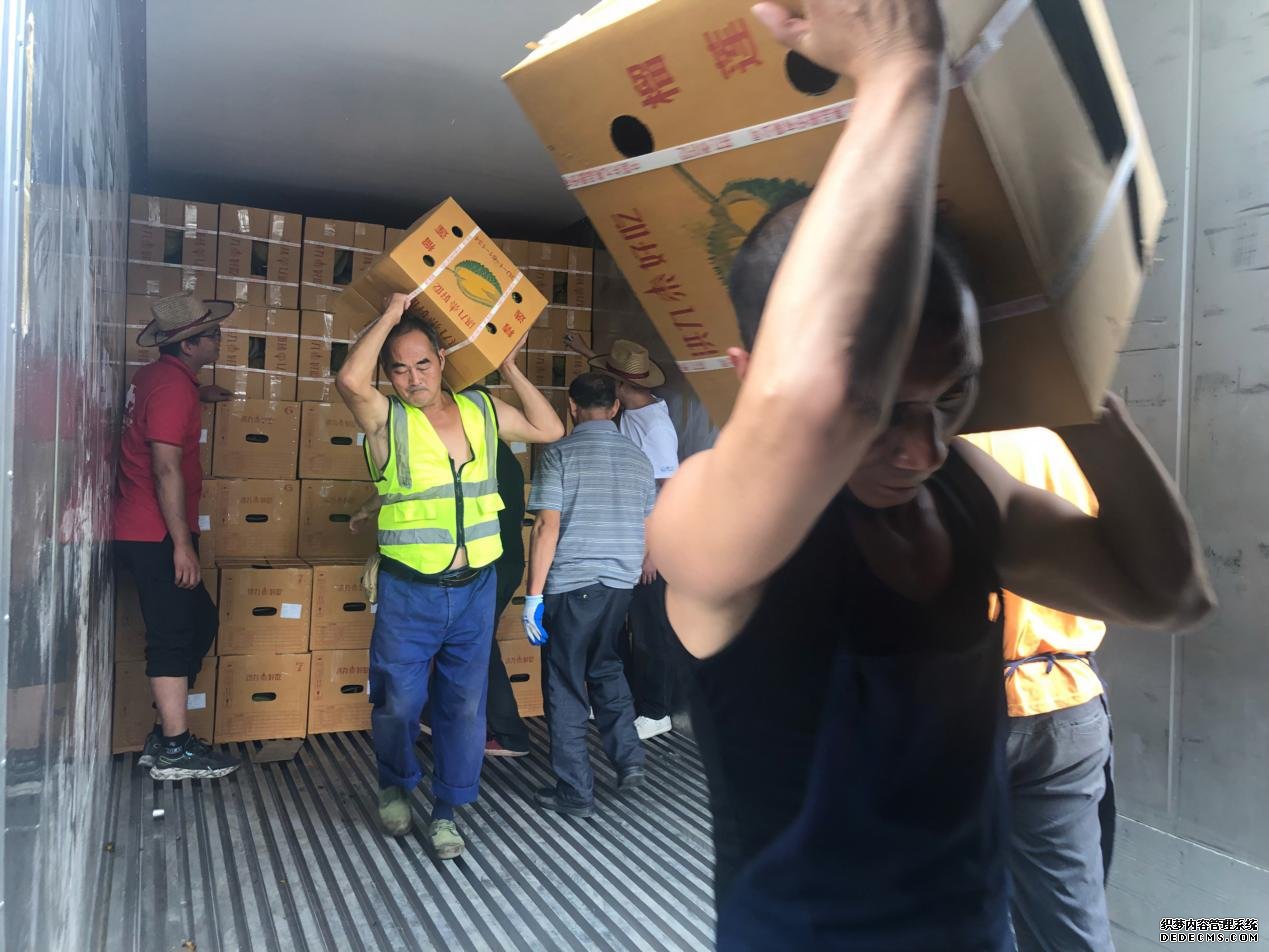 班列到达重庆后，水果商组织人员正在装卸泰国榴莲。王保良摄
