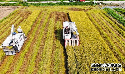 各地抢抓农时推进“三夏”生产