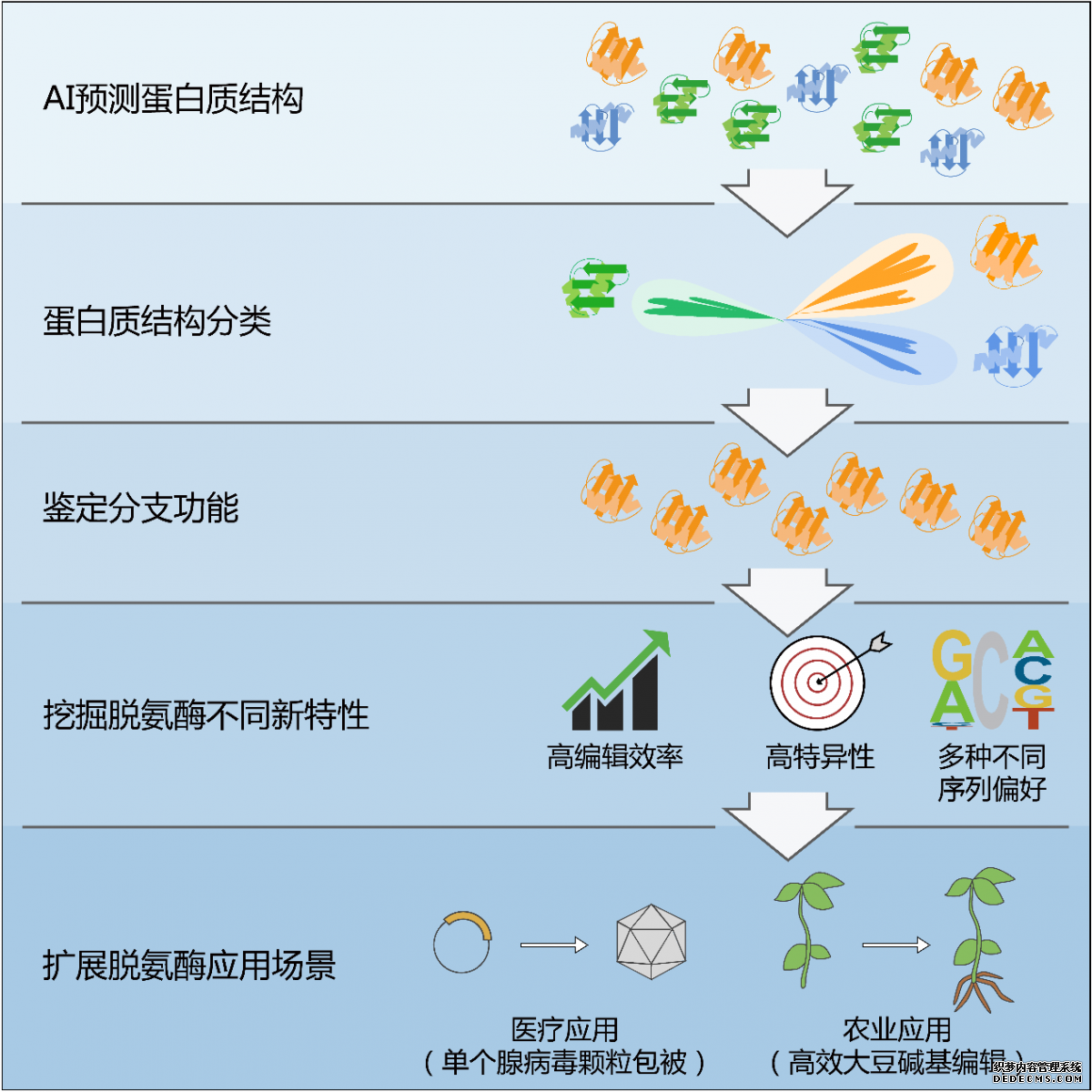 我国科学家成功开发新型碱基编辑工具