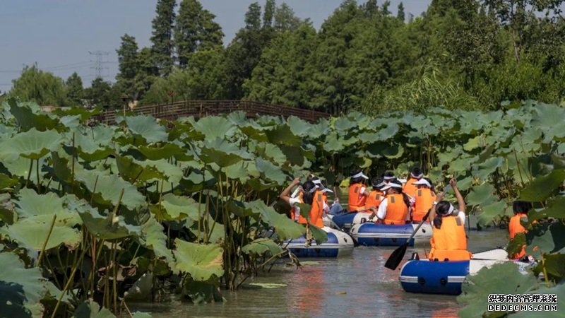 乌村夏令营莲池竞渡。受访者供图