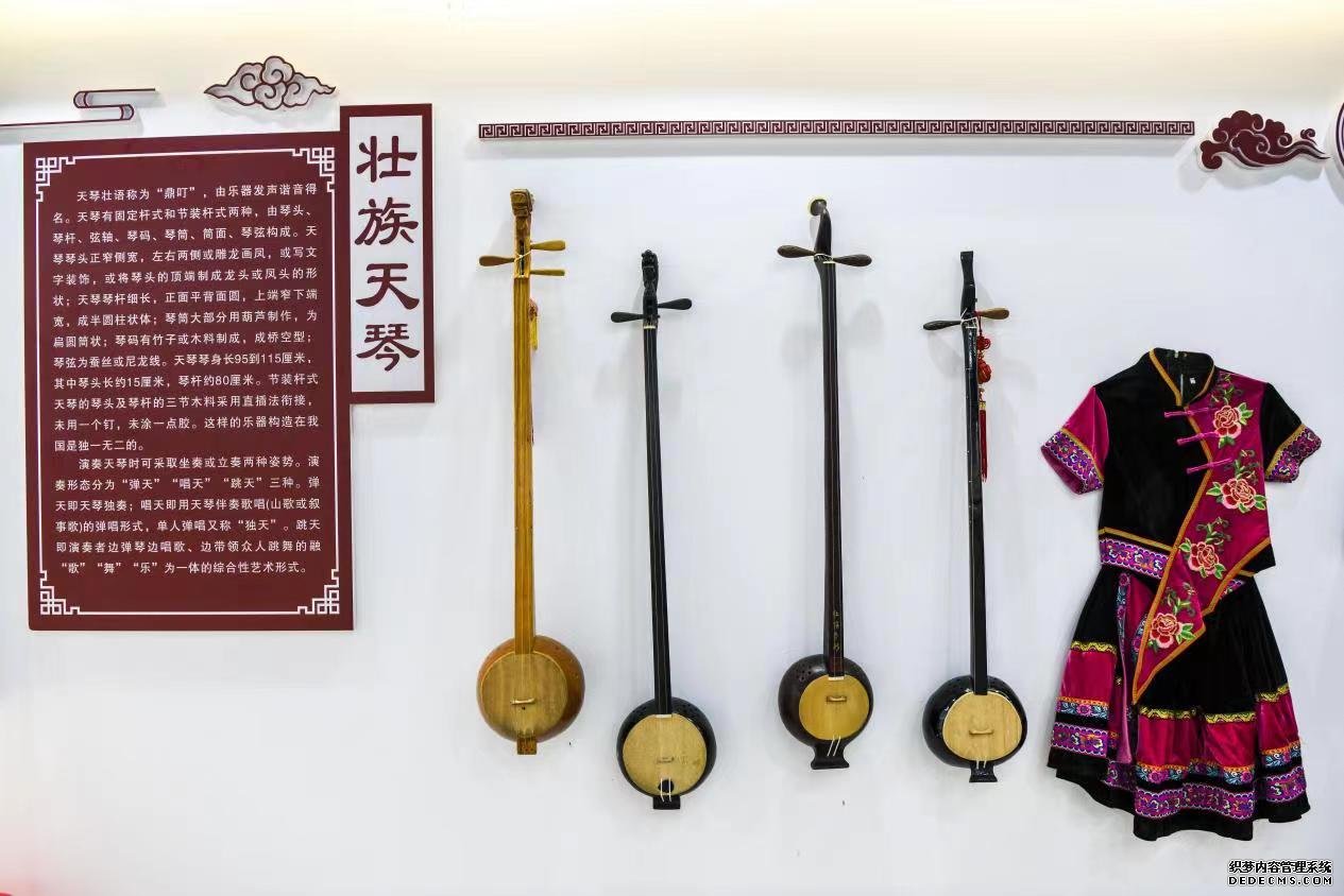 龙州县民族中学里的壮族天琴和壮族服饰。受访者供图