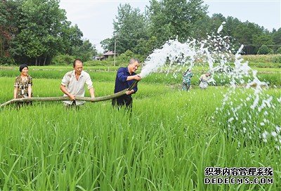 粮食生产如何应对今夏“大烤”？