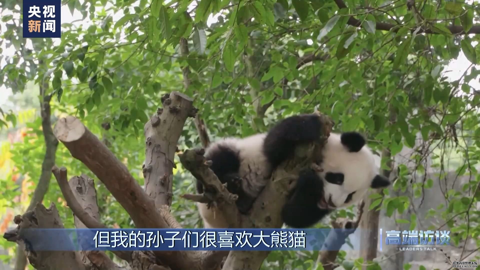 高端访谈丨专访国际大体联代理主席雷诺·艾德