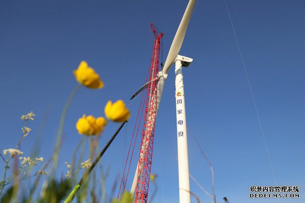 霍林河循环经济示范工程30万千瓦风电项目施工现场。受访者供图