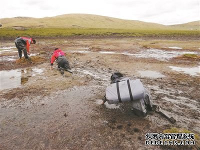 保护“地球之肾” 他们开出“中国药方”