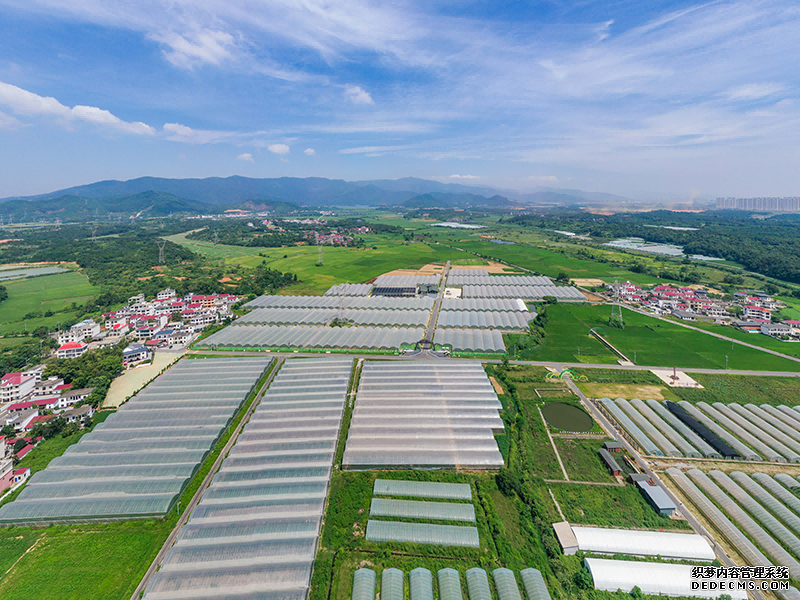 9月5日，航拍江西省南昌市石埠镇西岗村“梦飞田园”芦笋产业示范区种植基地。人民日报记者 蒋雨师摄