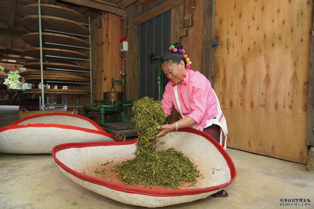 当地村民正在揉捻茶叶。普洱景迈山古茶林保护管理局供图