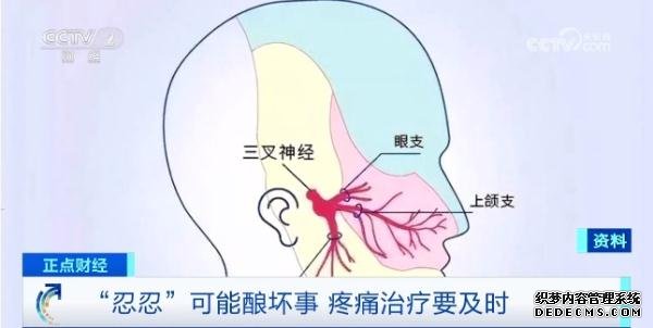 疼痛本身就是病！我国慢性疼痛患者超3亿