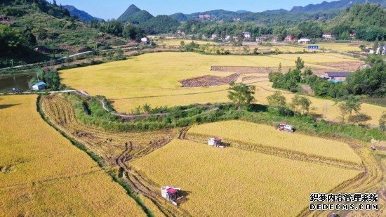 乡村行·看振兴｜重庆梁平区：统筹“人地技制”藏粮丘陵山地