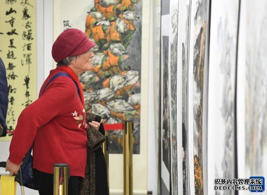 北京平谷：乡村书画展 丰富村民文化生活