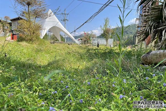 小王村一隅。人民网记者 林盈摄