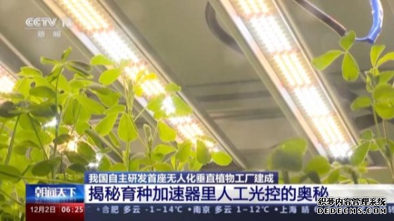 20层“高楼”里种菜 我国自主研发首座无人化垂直植物工厂建成