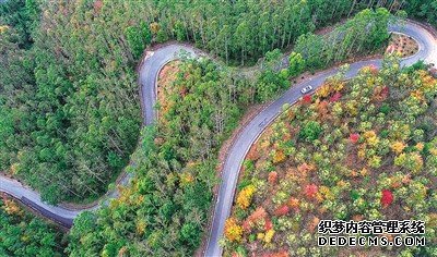 中国加快构建现代化公路体系