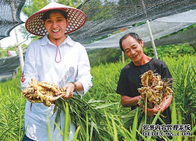 乡土风韵浓郁的农业文化遗产