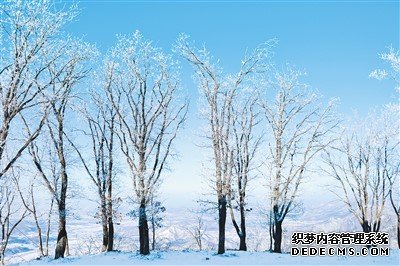 吉林冰雪“破圈”三棱镜（新时代 新画卷）