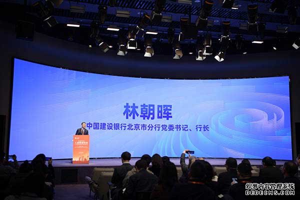 中国建设银行北京市分行党委书记、行长林朝晖发言。人民网记者 王天乐摄