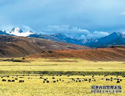 让更多游客走进“天空之城”