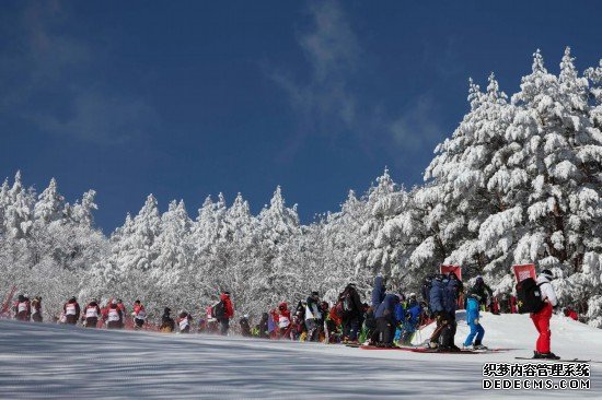 冬青奥会 | 如何“攻关”高山滑雪？资深教练这样说