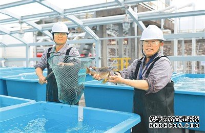 看液化天然气站如何“养”海鲜