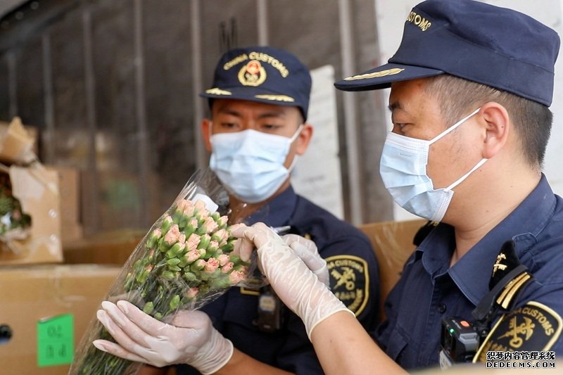 海关关员对出口鲜花进行查验。刀志楠摄