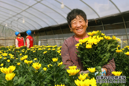 鲜切花农户喜迎丰收。受访者供图