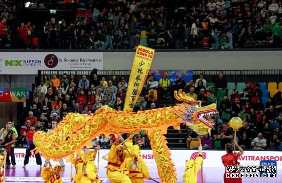 意大利排球比赛场上演舞龙舞狮 庆祝中国龙年