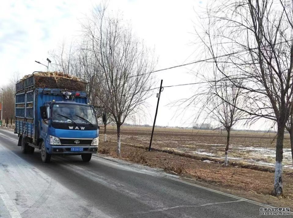 货车行驶在公主岭市农村公路上。公主岭市委宣传部供图