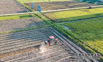 一号文件，绘就乡村全面振兴“路线图”（一号文件连连看①）