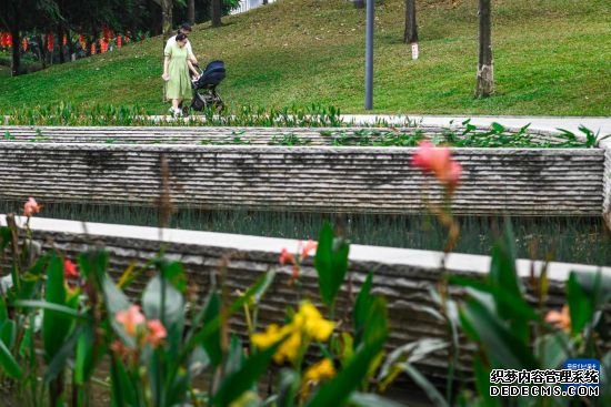 深圳：花开春意暖