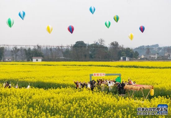 四川：以花为媒 美丽经济助力乡村振兴