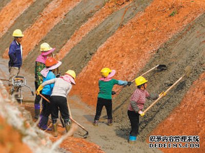 加强耕地保护 提升耕地质量（新时代画卷）