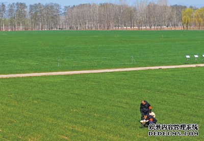 加强耕地保护 提升耕地质量（新时代画卷）