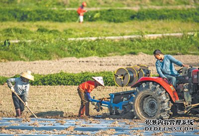 加强耕地保护 提升耕地质量（新时代画卷）