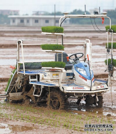 进一步把粮食单产和品质提上去（新时代画卷）