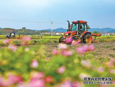 绿色种植扎下根（春耕进行时）