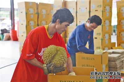 亚洲经济增长和区域经济一体化动能强劲（国际视点）