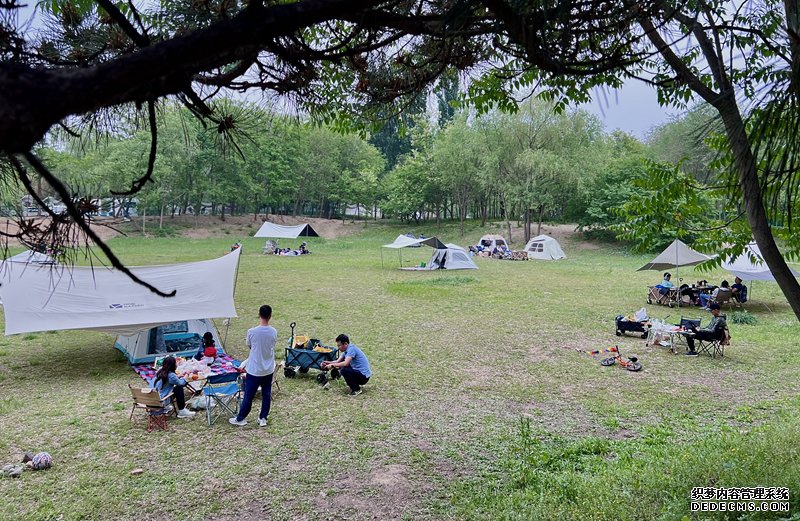 “自驾+露营”等多元模式受热捧。人民网记者 王连香摄