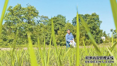 退伍不褪色 回乡建新功（追梦路上）