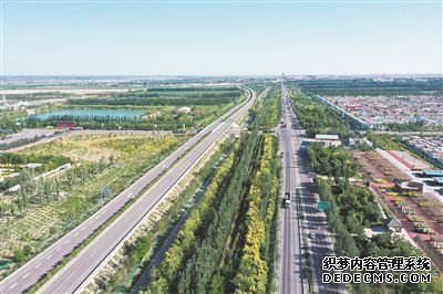 宁夏公路景观绿化探索“交通+农业”新模式