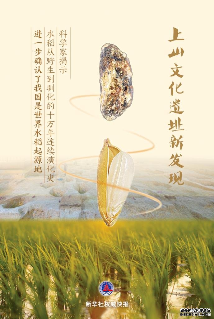 上山文化遗址新发现！科学家揭示水稻从野生到驯化的10万年连续演化史
