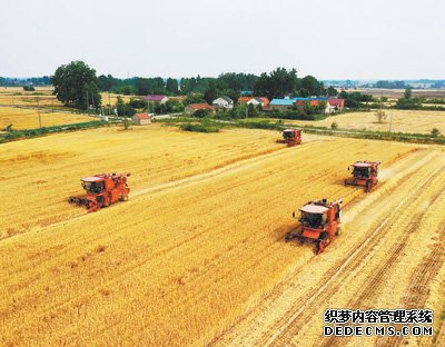 一位种粮大户的“未雨绸缪”（三夏进行时）