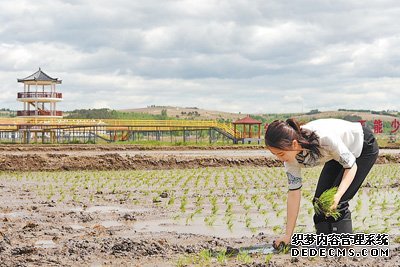 深耕乡村旅游 带动村民增收（人物故事·聚焦乡村创业）